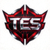 TES战队Logo标志